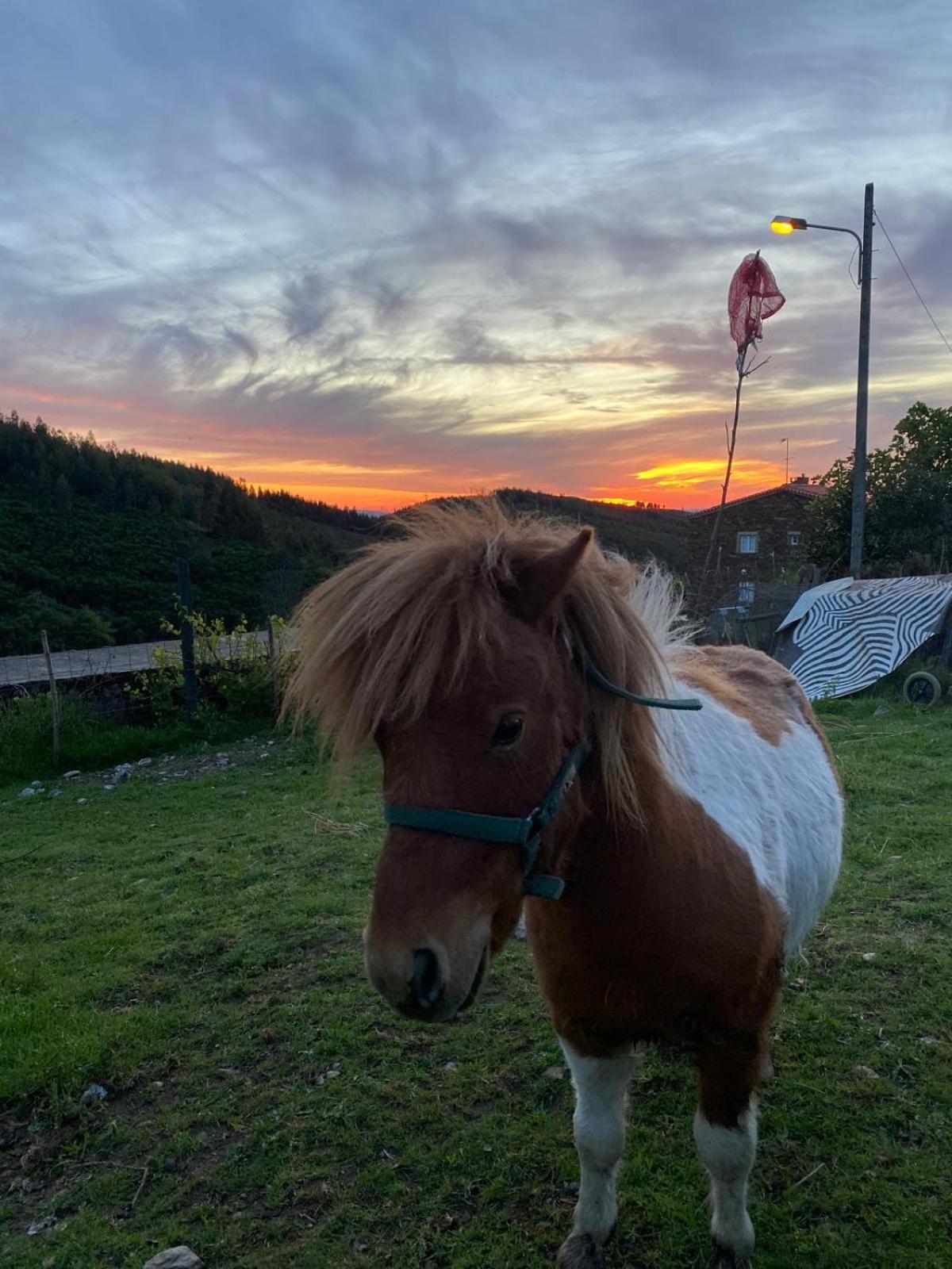 Willa Casinha Por Do Sol Aldeia das Dez Zewnętrze zdjęcie